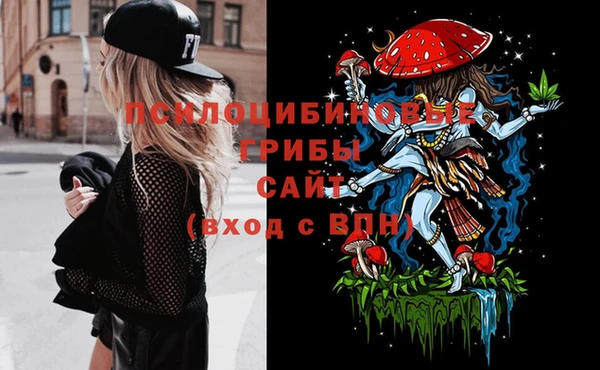 твердый Михайловск